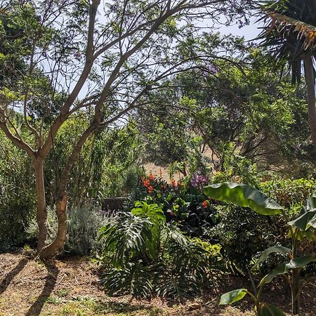 Home Stay En Finca Rural Tarifa Zewnętrze zdjęcie