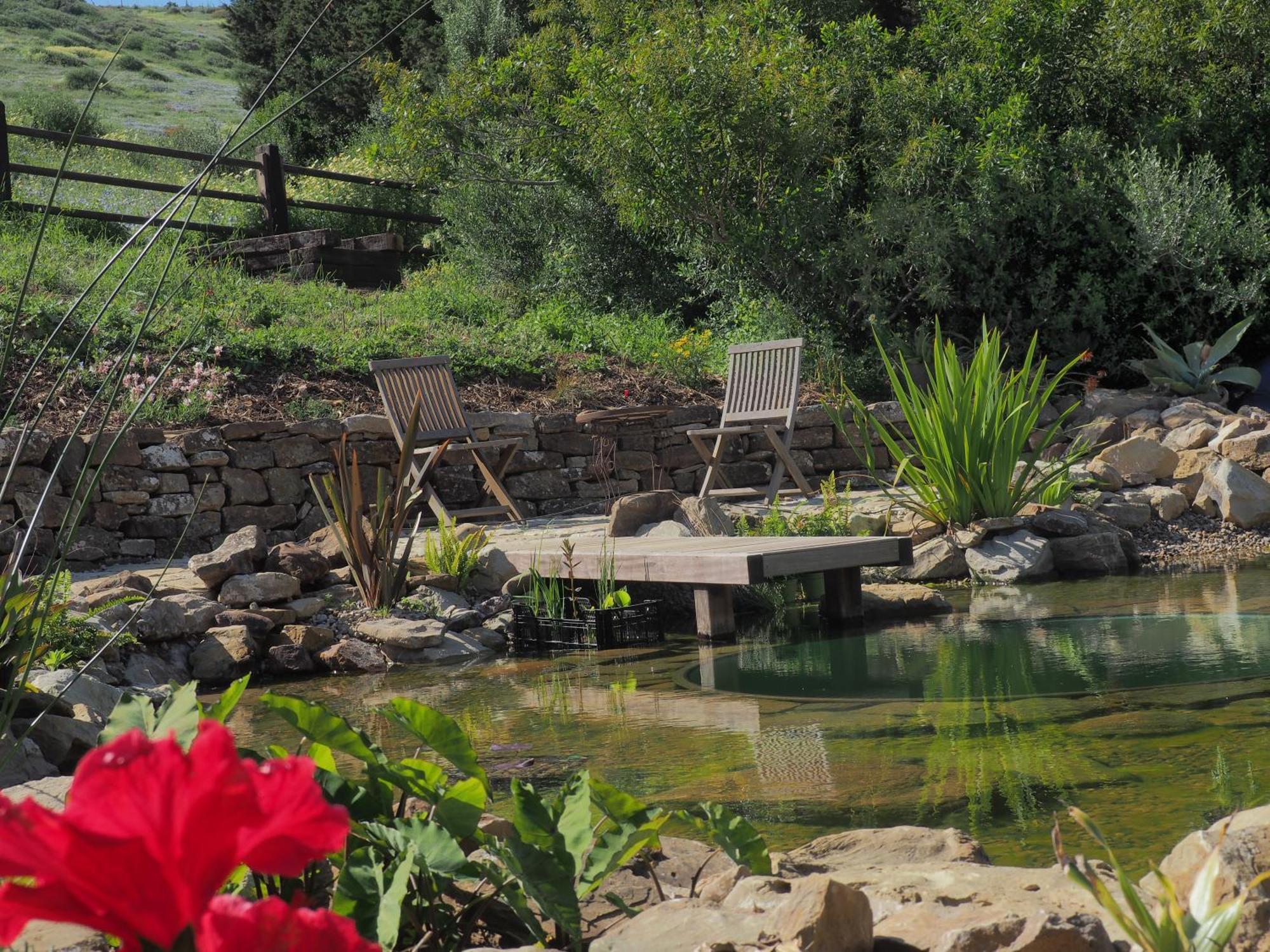 Home Stay En Finca Rural Tarifa Zewnętrze zdjęcie