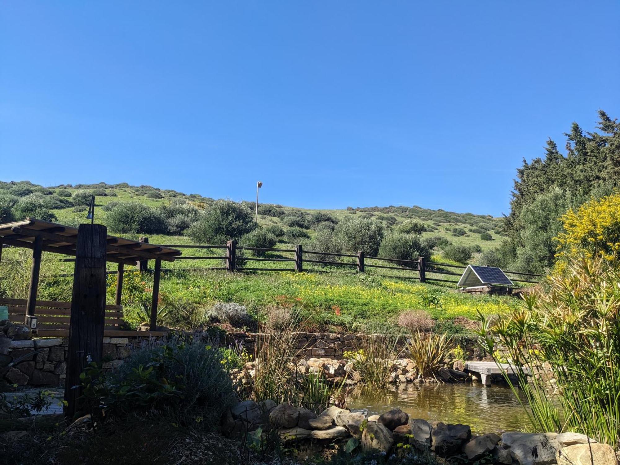 Home Stay En Finca Rural Tarifa Zewnętrze zdjęcie