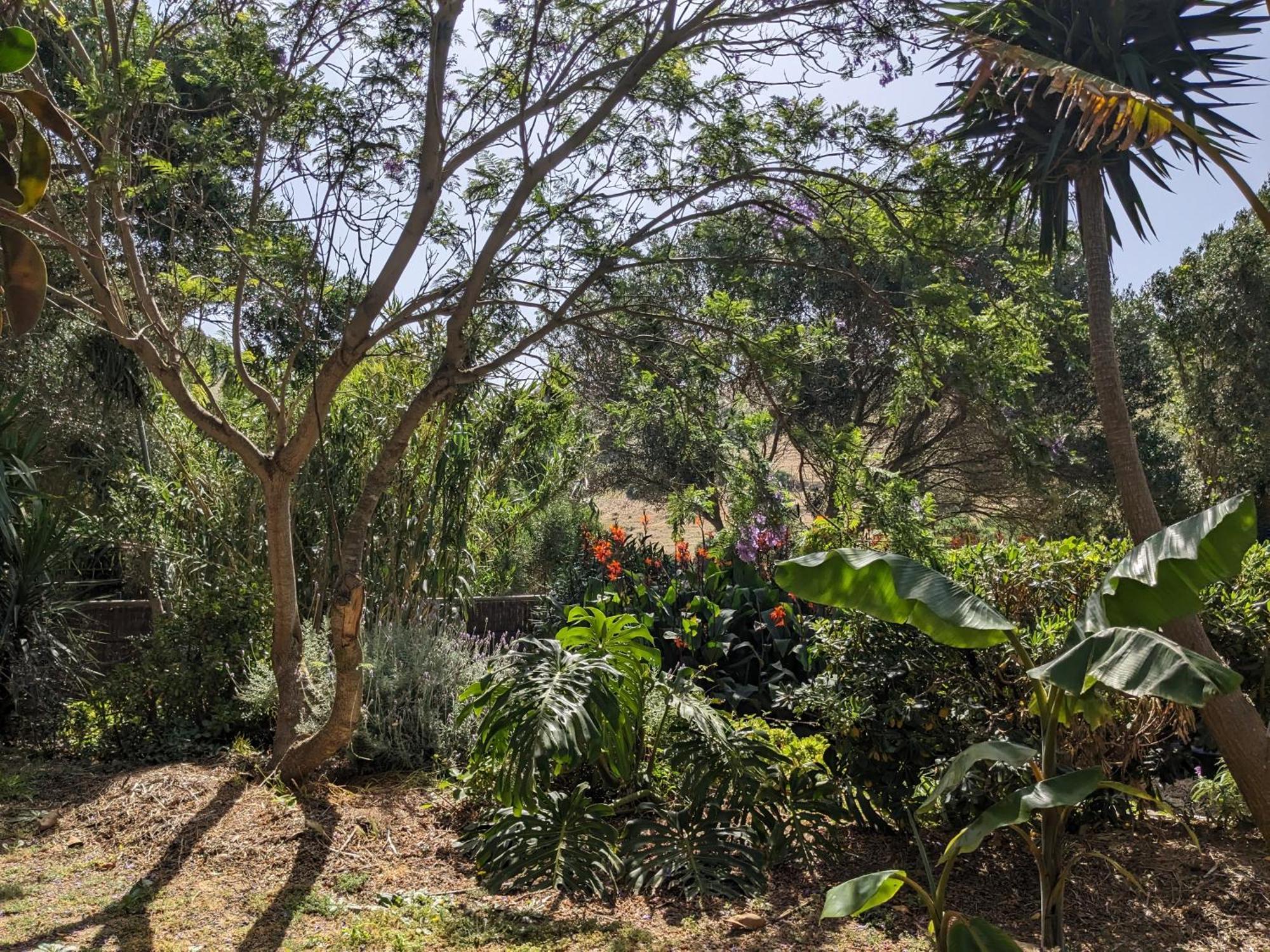 Home Stay En Finca Rural Tarifa Zewnętrze zdjęcie